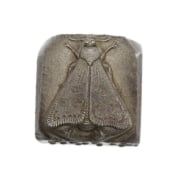 Picture of Impression Die Sleeping Moth