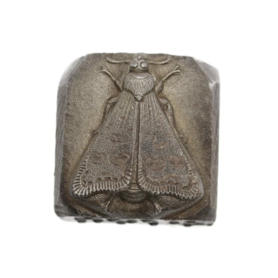 Picture of Impression Die Sleeping Moth
