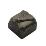 Picture of Impression Die Sleeping Moth