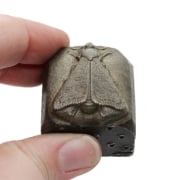 Picture of Impression Die Sleeping Moth