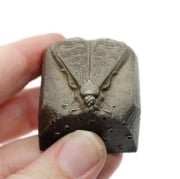 Picture of Impression Die Sleeping Moth