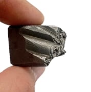 Picture of Impression Die French Fierce Griffin Set