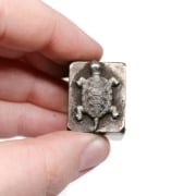 Picture of Impression Die Swimming Turtle