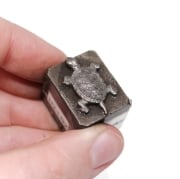 Picture of Impression Die Swimming Turtle