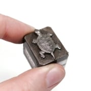 Picture of Impression Die Swimming Turtle