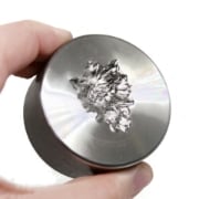 Picture of Impression Die Gothic Tiger