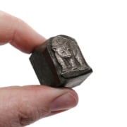 Picture of Impression Die Gazing Grizzly