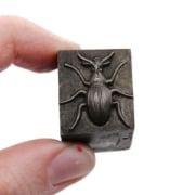 Picture of Impression Die Wilhelmina Weevil