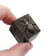 Picture of Impression Die Wilhelmina Weevil