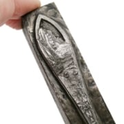 Picture of Impression Die Zion National Park Spoon