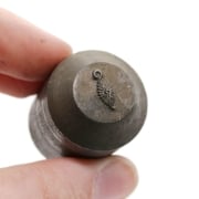 Picture of Impression Die Nouveau Links Trio