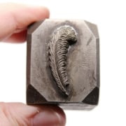 Picture of Impression Die Little Curled Feather