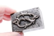 Picture of Impression Die Woodland Buckle