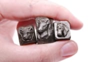 Picture of Impression Die Ungulate Shot Plate