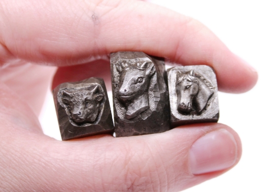 Picture of Impression Die Ungulate Shot Plate