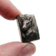 Picture of Impression Die Ungulate Shot Plate