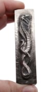 Picture of Impression Die Dancing Cobra