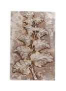 Picture of Impression Die Frond of Scaled Leaves