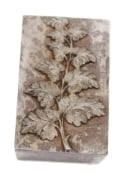 Picture of Impression Die Frond of Scaled Leaves