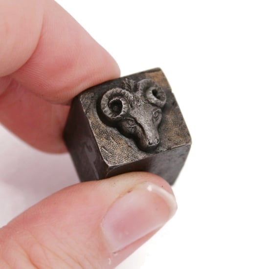 Picture of Impression Die Horned Sheep