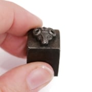 Picture of Impression Die Horned Sheep