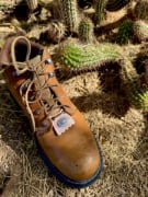 Picture of Impression Die Western Daisy Link