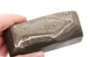 Picture of Impression Die The Great Patterned Fish