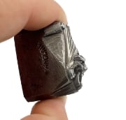 Picture of Impression Die Gothic French Bat