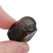 Picture of Impression Die Realistic Shell Pair