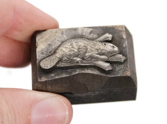 Picture of Impression Die Beaver on Branch