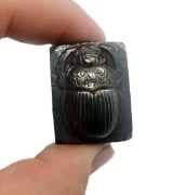 Picture of Impression Die Crowned Beetle