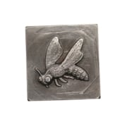 Picture of Impression Die Wide-Eyed Wasp