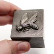 Picture of Impression Die Wide-Eyed Wasp