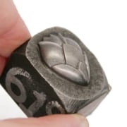 Picture of Impression Die Beetle Tulip