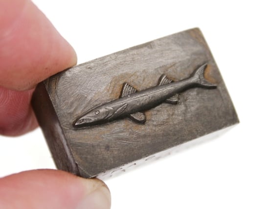 Picture of Impression Die Pacific Barracuda Collectible Fish Pin