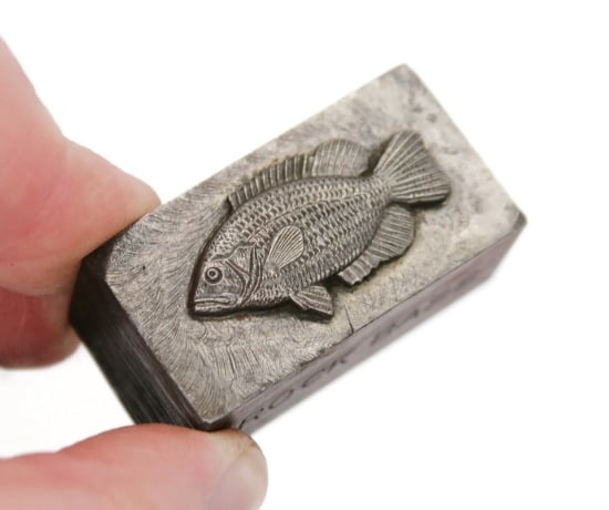 Picture of Impression Die Rock Bass Collectible Fish Pin