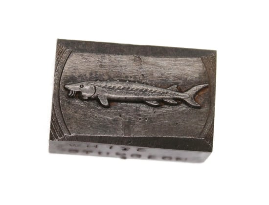 Picture of Impression Die White Sturgeon Collectible Fish Pin