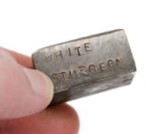 Picture of Impression Die White Sturgeon Collectible Fish Pin