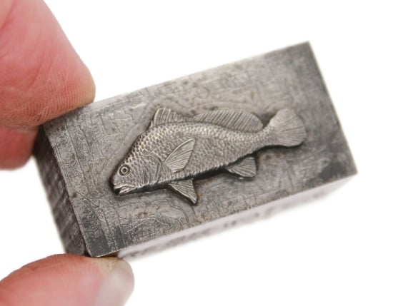 Picture of Impression Die Freshwater Drum Collectible Fish Pin