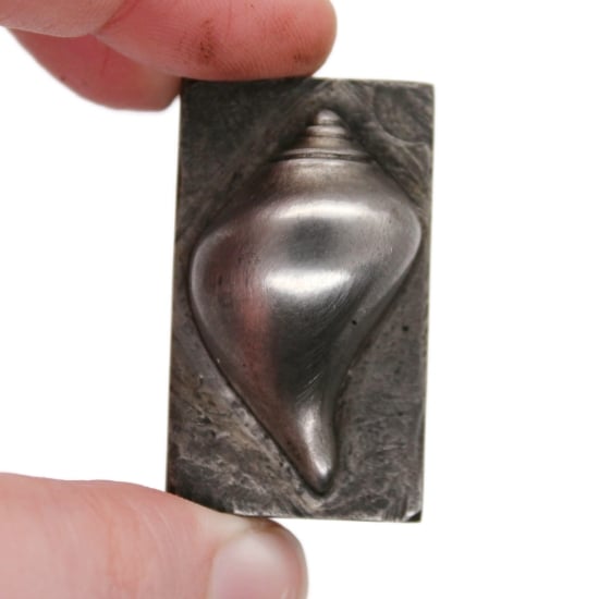 Picture of Impression Die Smooth Whelk Shell