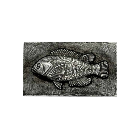 Picture of Impression Die Tautog Collectible Fish Pin