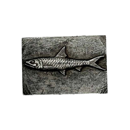Picture of Impression Die Ten Pounder Collectible Fish Pin