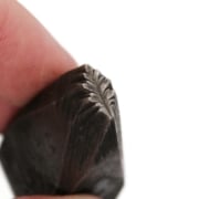 Picture of Impression Die Dark Forest Leaf Quartet