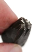 Picture of Impression Die Dark Forest Leaf Quartet