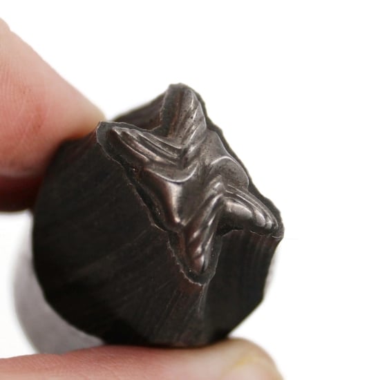 Picture of Impression Die Twisting X Link