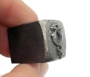 Picture of Impression Die Basilisk Twins