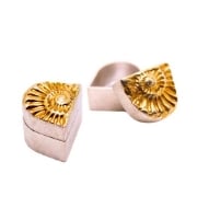 Picture of Impression Die Ammonite