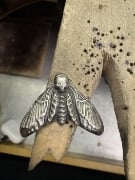 Picture of Impression Die Death's Head Hawkmoth