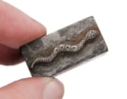 Picture of Impression Die Small Stone-Studded Snake