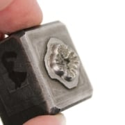 Picture of Impression Die Star Caldera Bezel